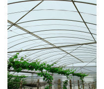 养殖大棚与温室大棚 现代农业的科技温室与生态养殖新篇章