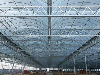 连栋温室 现代农业的智慧之翼