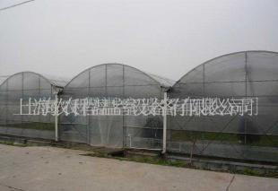 塑料连栋温室大棚 现代农业的智能生态空间