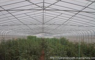 河南温室大棚主要类型与成本解析
