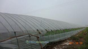 温室大棚建设 山东、潍坊、寿光双实，现代农业的基石与选择