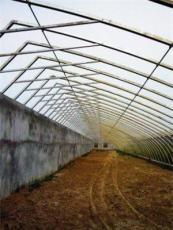 现代温室大棚 科技赋能下的农业新篇章