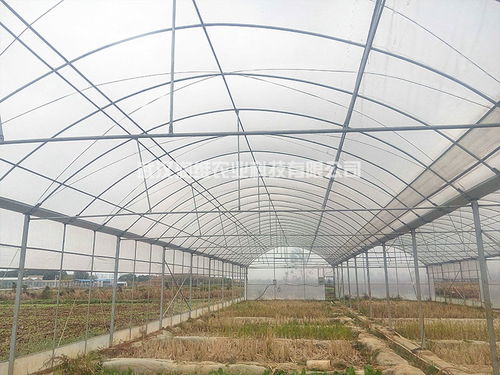 竹溪玻璃智能温室大棚施工与设计全解析