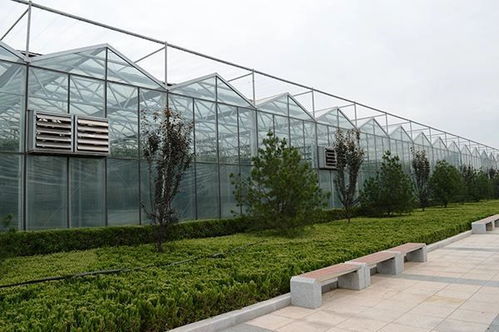 河北温室大棚施工图厂家 实力雄厚，引领现代农业设施新标杆